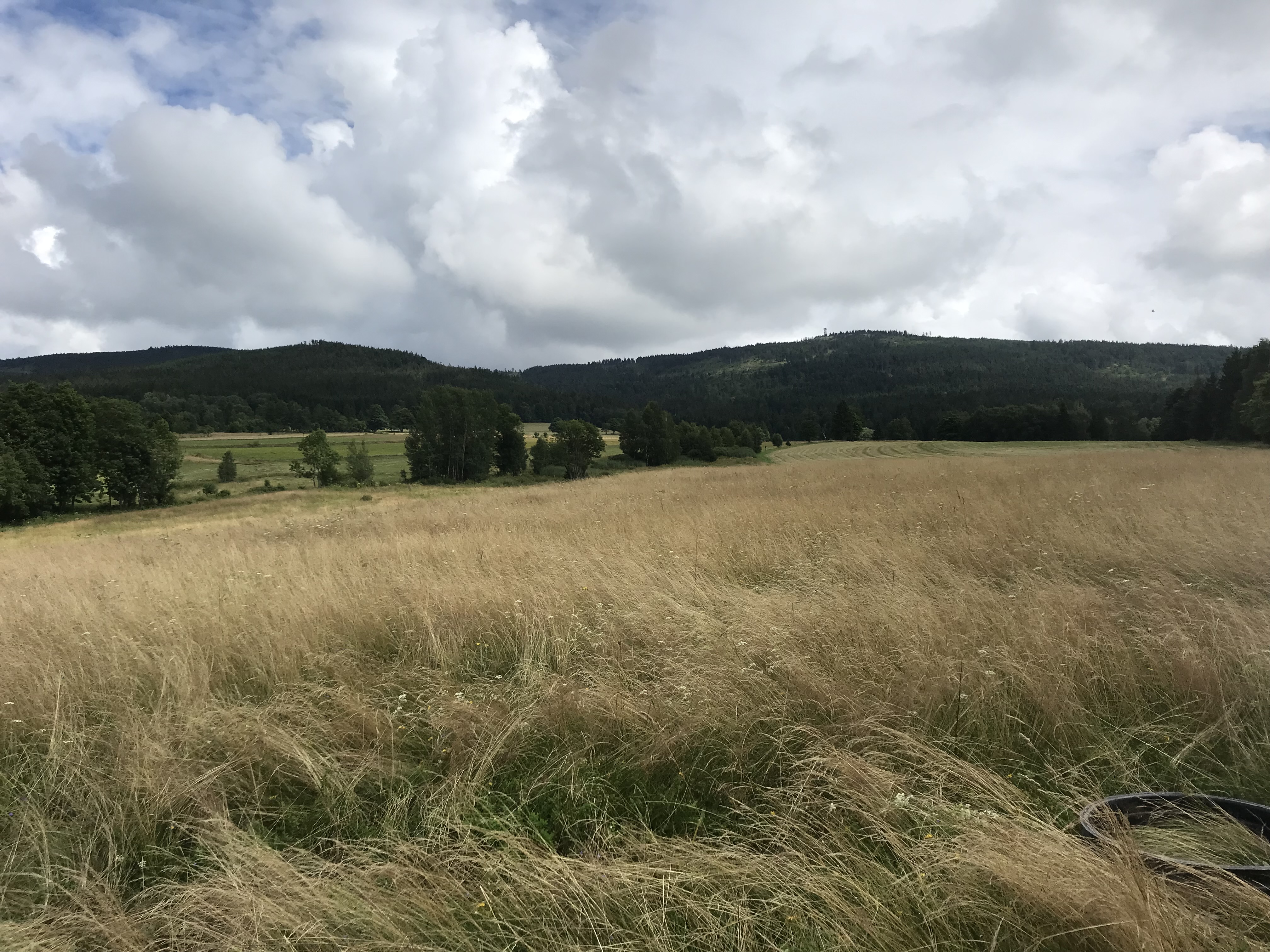 Prace ziemne koparką, montaż przydomowych oczyszczalni ścieków marki Traidenis, Kłodzko oraz Dolny Śląsk