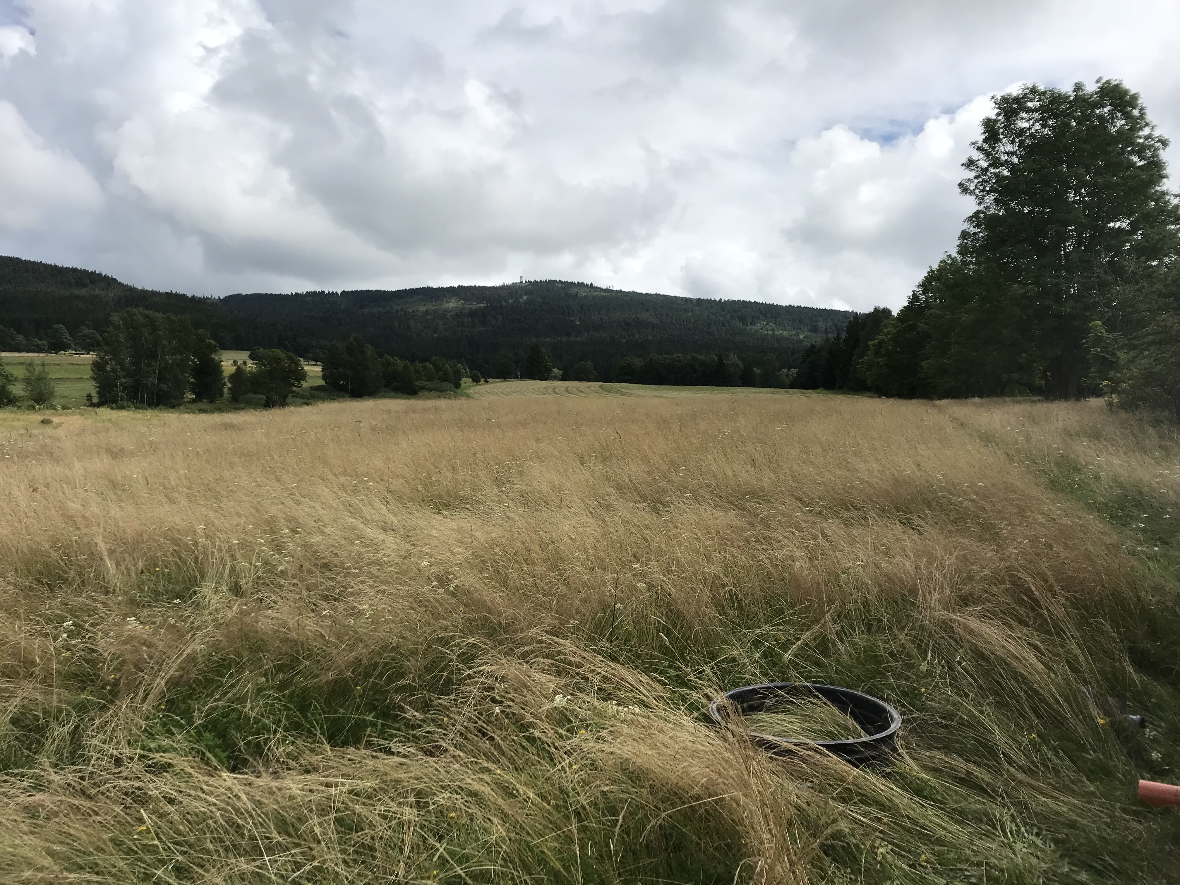 Prace ziemne koparką, montaż przydomowych oczyszczalni ścieków marki Traidenis, Kłodzko oraz Dolny Śląsk